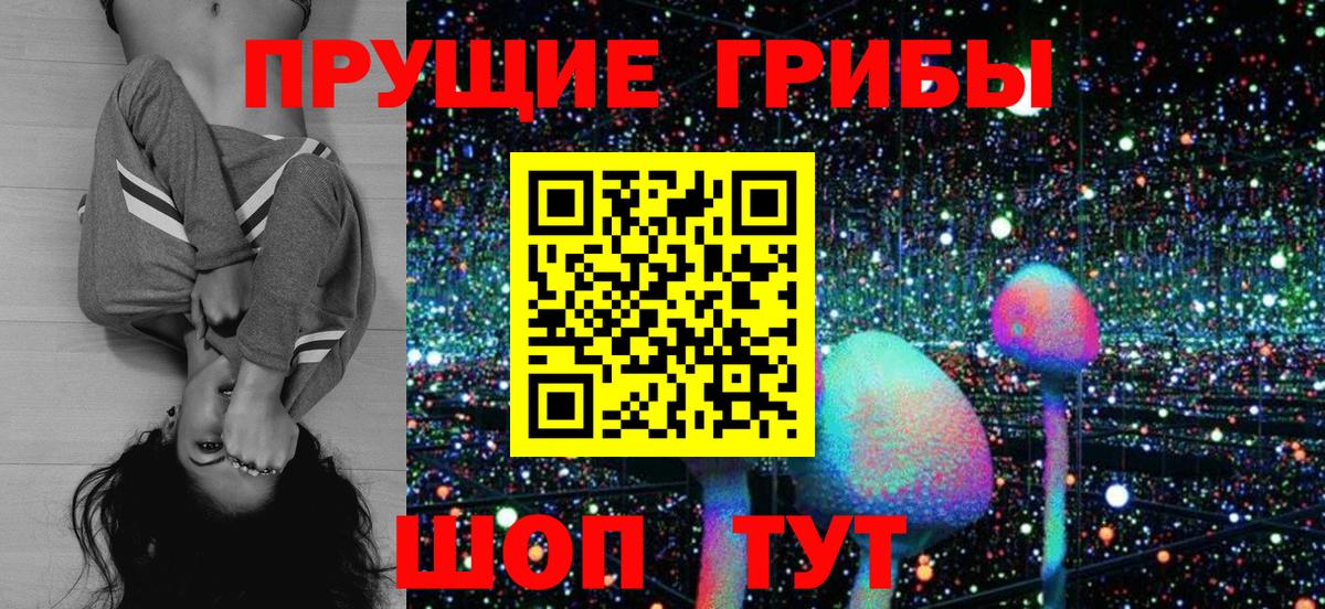 Псилоцибиновые грибы MAGIC MUSHROOMS  Вход с VPN  Галлюциногенные грибы мицелий  Шадринск 