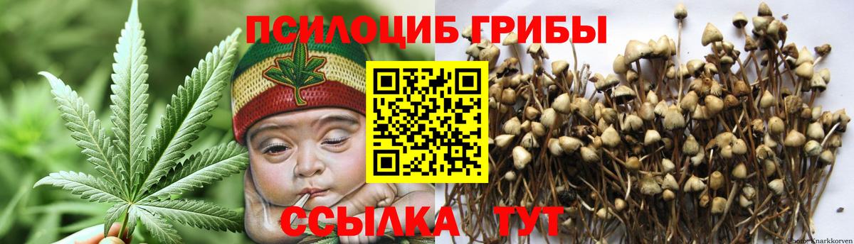 Галлюциногенные грибы мухоморы Шадринск